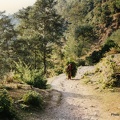 NEPAL POKARA Le départ des treks